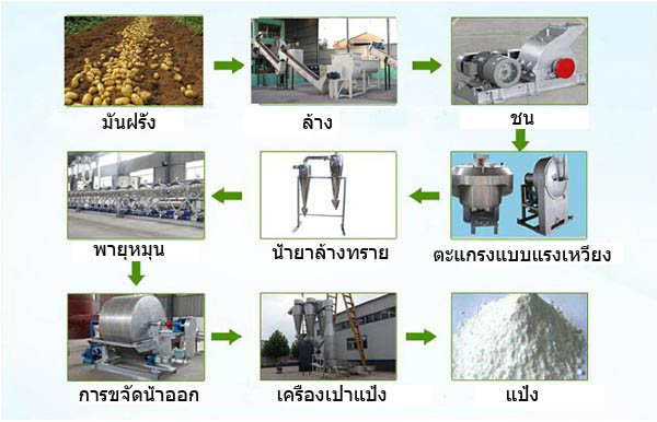 การแปรรูปแป้งมันสำปะหลัง